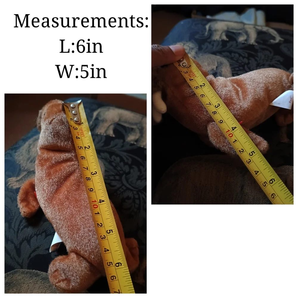 Paul the Walrus 1999 Vintage TY Beanie Babies 6in No Tag - Picture 6 of 7